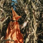 Dziecko w pomarańczowym kostiumie czarodzieja idące przez gęsty kukurydziany zagajnik w słoneczny dzień